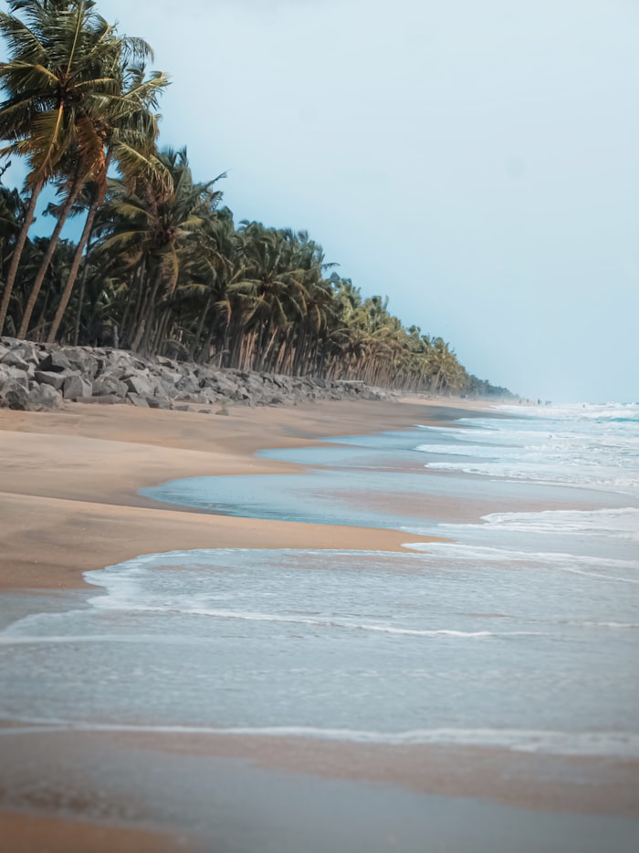 Palm-lined tropical beach at Rajah Beach